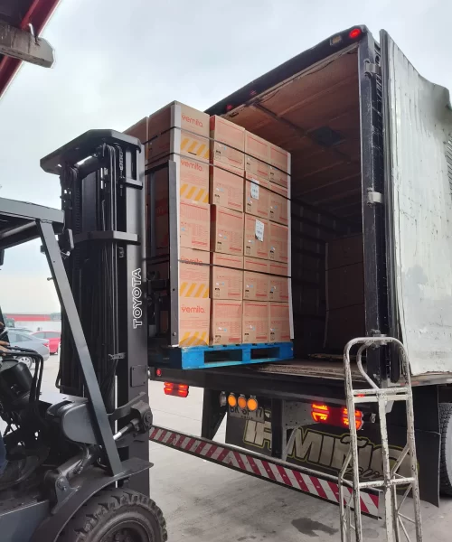 logisticrent-rrhh (10)