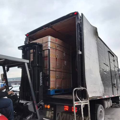 logisticrent-rrhh (11)