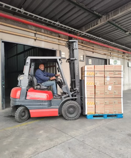 logisticrent-rrhh (4)