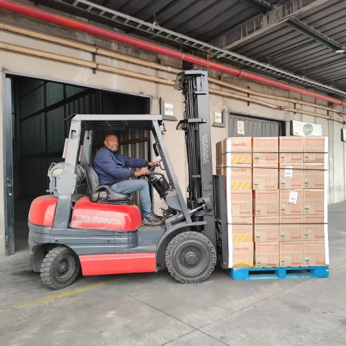 logisticrent-rrhh (9)